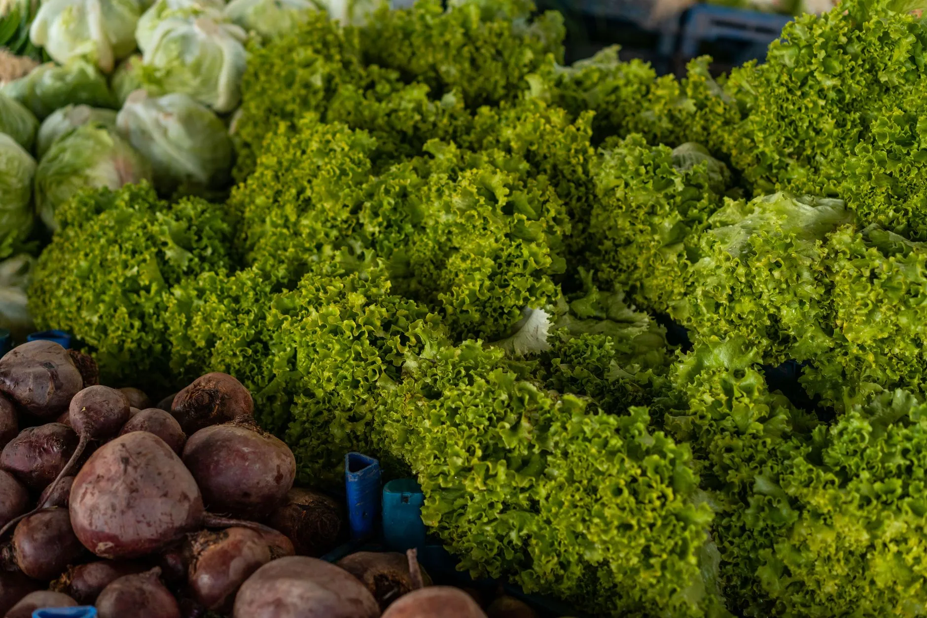 Vegan würzen: Geschmack ohne Tierisches